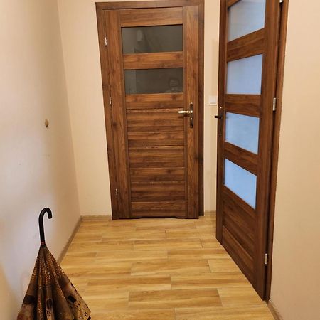 Apartment Sonnenschein 드지우노웨크 외부 사진